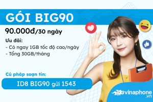 big90-vinaphone-thoai-mai-data-khong-lo-ve-gia