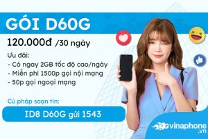 d60g-vinaphone-goi-cuoc-uu-dai-khung-cho-thue-bao-moi