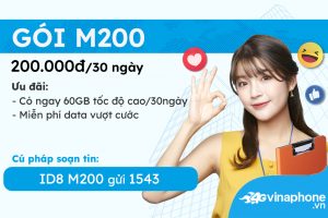 max200-vinaphone-goi-data-khong-gioi-han