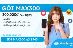 MAX300 1
