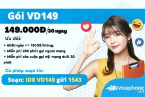 vd149-vinaphone-combo-dam-thoai-data-khung