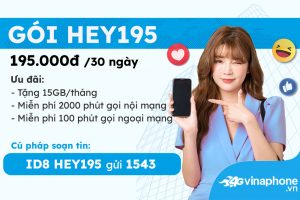 HEY195 Vinaphone - Gói cước ưu đãi siêu lớn 1 hey195a