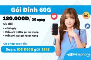 thoa-suc-truy-cap-internet-cung-dinh-60g-vinaphone