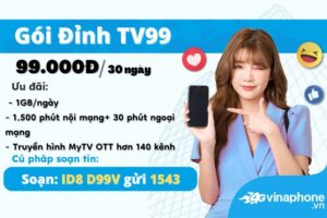 dang-ky-goi-cuoc-dinh-tv99-vinaphone