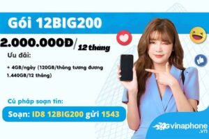 12BIG200 Vinaphone gói cước chu kỳ 12 tháng 1 12big200-vinaphone-goi-cuoc-chu-ky-12-thang