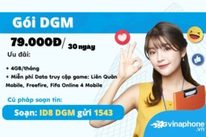 dgm-vinaphone-goi-cuoc-giai-tri-dinh-cao-cua-vinaphone