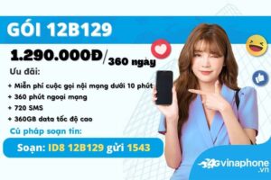 12b129-vinaphone-free-data-goi-thoai-ca-nam
