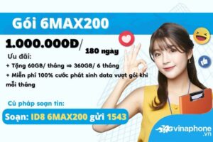 6max200-vinaphone-data-tha-ga-suot-6-thang