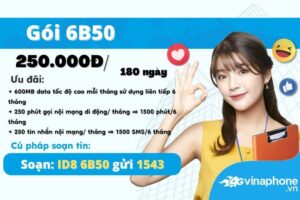 6b50-vinaphone-uu-dai-data-free-goi-thoai-sms