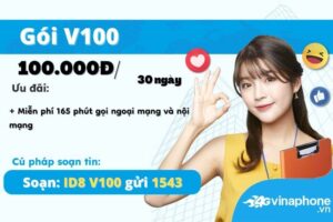 huong-dan-dang-ky-goi-cuoc-v100-vinaphone