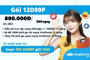 huong-dan-dang-ky-goi-cuoc-12d89p-vinaphone