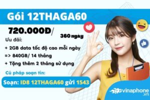 huong-dan-dang-ky-goi-cuoc-12thaga60-vinaphone