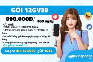 12gv89-vinaphone-uu-dai-4gb-ngay-goi-thoai-suot-nam