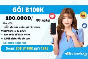 b100k-vinaphone-uu-dai-24gb-goi-thoai-mien-phi-suot-thang
