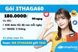huong-dan-dang-ky-goi-cuoc-3thaga60-vinaphone