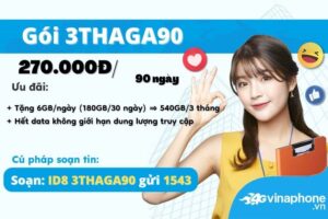 huong-dan-dang-ky-goi-cuoc-3thaga90-vinaphone