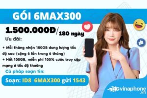 6max300-vinaphone-uu-dai-600gb-suot-6-thang