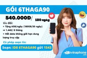 6thaga90-vinaphone-data-tha-ga-suot-6-thang
