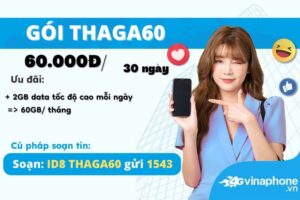 dang-ky-goi-thaga60-vinaphone-nhan-60gb-chi-60k