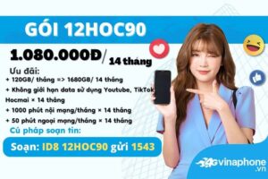 12hoc90-vinaphone-uu-dai-data-kem-thoai-ca-nam
