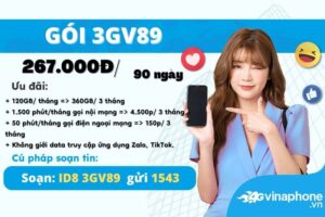 3gv89-vinaphone-nhan-4gb-ngay-uu-da-goi-thoai