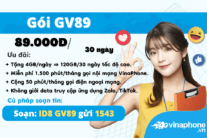gv89-vinaphone-uu-dai-data-voi-120gb-thang