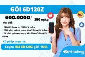 6d120z-vinaphone-nhan-720gb-free-goi-suot-6-thang
