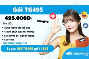 tg495-vinaphone-nhan-20gb-data-free-goi-thoai