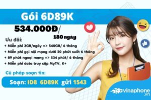 6d89k-vinaphone-sieu-uu-dai-data-goi-thoai-suot-6t