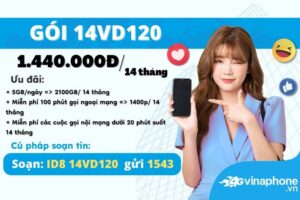 huong-dan-dang-ky-goi-cuoc-14vd120-vinaphone