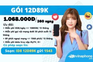12d89k-vinaphone-uu-dai-data-kem-thoai-giai-tri-nam