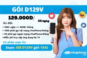 d129v-vinaphone-uu-dai-2gb-ngay-mien-phi-goi