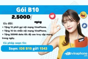 b10-vinaphone-cuoc-data-goi-thoai-gia-re-trong-ngay