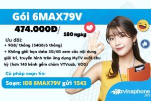 huong-dan-dang-ky-goi-cuoc-6max79v-vinaphone