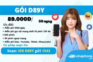 d89y-vinaphone-uu-dai-90gb-thang-free-tiktok-youtube