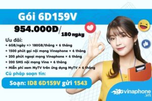 6d159v-vinaphone-6gb-ngay-free-goi-sms-6-thang