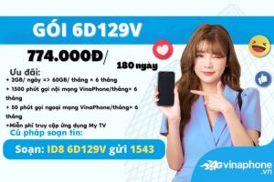 6d129v-vinaphone-data-goi-thoai-tha-ga-suot-6t