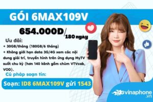 6max109v-vinaphone-uu-dai-180gb-free-mytv