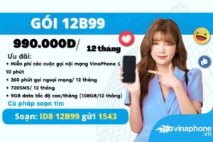 huong-dan-dang-ky-goi-cuoc-12b99-vinaphone