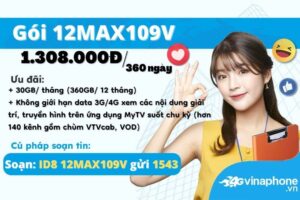 dang-ky-12max109v-vinaphone-goi-cuoc-data-1-nam