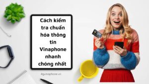 cach-kiem-tra-chuan-hoa-thong-tin-vinaphone-nhanh
