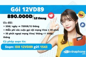 huong-dan-dang-ky-goi-cuoc-12vd89-vinaphone