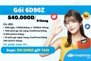 huong-dan-dang-ky-goi-cuoc-6d90z-vinaphone