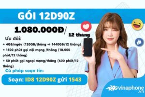 huong-dan-dang-ky-goi-cuoc-12d90z-vinaphone