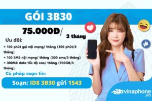 huong-dan-dang-ky-goi-cuoc-3b30-vinaphone