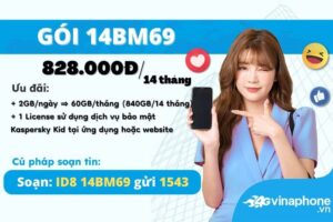 huong-dan-dang-ky-goi-cuoc-14bm69-vinaphone