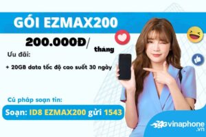 huong-dan-dang-ky-goi-ezmax200-vinaphone
