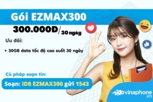 huong-dan-dang-ky-goi-cuoc-ezmax300-vinaphone