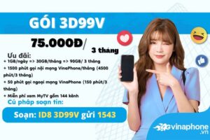 huong-dan-dang-ky-goi-cuoc-3d99v-vinaphone
