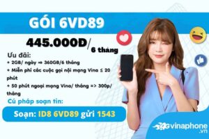 huong-dan-dang-ky-goi-cuoc-6vd89-vinaphone